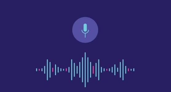 Insights about voice search optimization for your website
